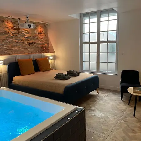 Appartement Avec Jacuzzi Sauna & Home Cinema - Nid D'Angers * Angers