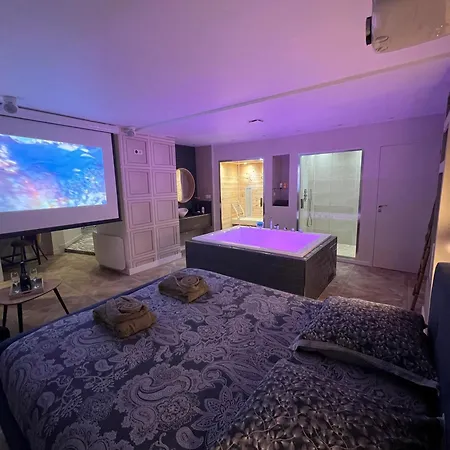 Appartement Appartement Avec Jacuzzi Sauna & Home Cinema - Nid D'Angers Angers
