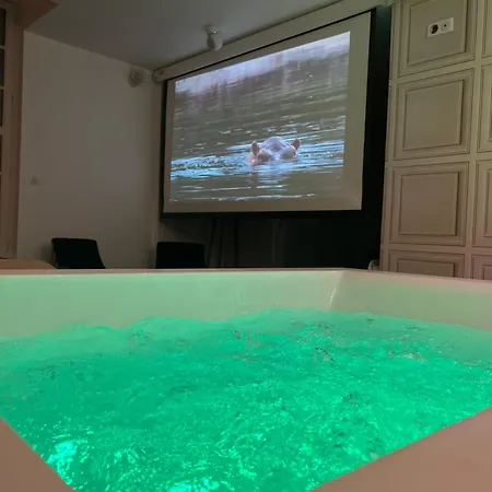 Appartement Avec Jacuzzi Sauna & Home Cinema - Nid D'Angers * Angers
