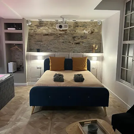 Appartement Avec Jacuzzi Sauna & Home Cinema - Nid D'Angers