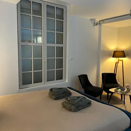 Appartement Appartement Avec Jacuzzi Sauna & Home Cinema - Nid D'Angers Angers