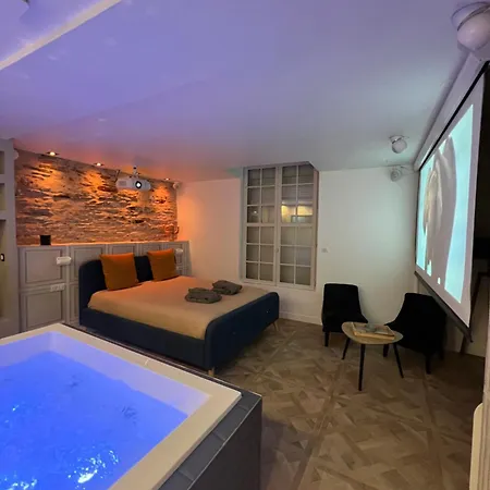 Appartement Appartement Avec Jacuzzi Sauna & Home Cinema - Nid D'Angers Angers