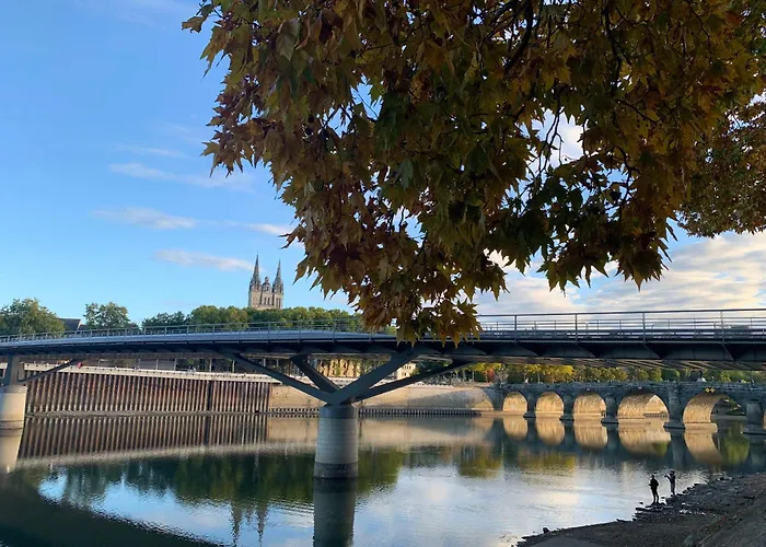 Avec Jacuzzi Sauna & Cinema - Nid D'angers Apartment Angers