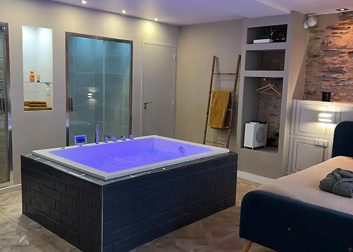 Avec Jacuzzi Sauna & Cinema - Nid D'angers * Angers