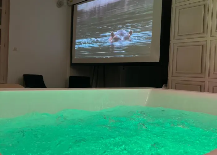 Avec Jacuzzi Sauna & Cinema - Nid D'angers * Angers