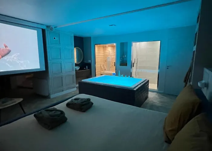 Apartment Avec Jacuzzi Sauna & Cinema - Nid D'angers Angers