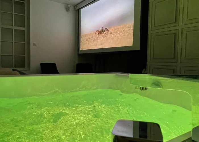 Avec Jacuzzi Sauna & Cinema - Nid D'angers Apartment *